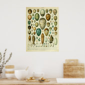 アンティークバードエッグウォールアートホームデコール ポスター (キッチン)