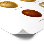 アンティークバードエッグプリントno.2イースター春デコール ポスター (角)