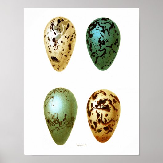 アンティークバードエッグプリントno.8イースター春デコール ポスター (正面)