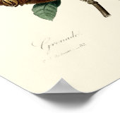 アンティークビクトリアンエラポメグラネートイラストレーション ポスター (角)