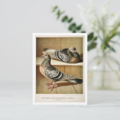 アンティークピジョンリソ版木、銅版、版画コバーガー ポストカード (スタンド正面)