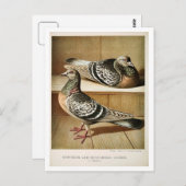 アンティークピジョンリソ版木、銅版、版画コバーガー ポストカード (正面/裏面)