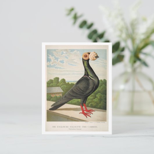 アンティークピジョンリソ版木、銅版、版画ザキャリア ポストカード (スタンド正面)