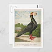 アンティークピジョンリソ版木、銅版、版画ザキャリア ポストカード (正面/裏面)