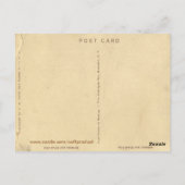 アンティークファイアアイランドニューヨークポストカード ポストカード (裏面)