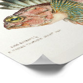 アンティークフィッシュネオセバステススコパエノイデス1808 ポスター (角)