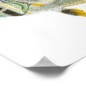 アンティークフィッシュプリントno.9ビーチハウスデコールアート ポスター (角)