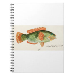アンティークフィッシュラブリダバイ描フランクエドワードクラーク ノートブック