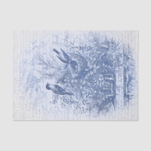 アンティークフランスのヴィンテージブルーバーズネスト 薄葉紙 (正面)