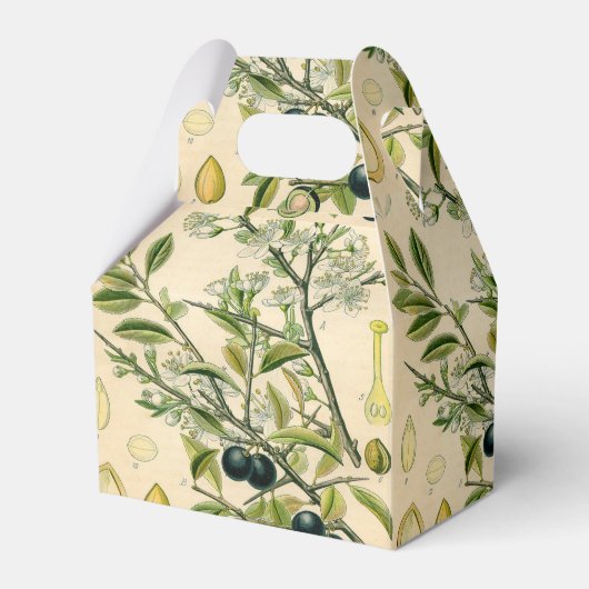 アンティークブラックソーンボタニカルプリントフラワーベリー フェイバーボックス (正面サイド)