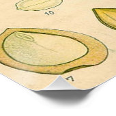 アンティークブラックソーンボタニカルプリントフラワーベリー ポスター (コーナー)