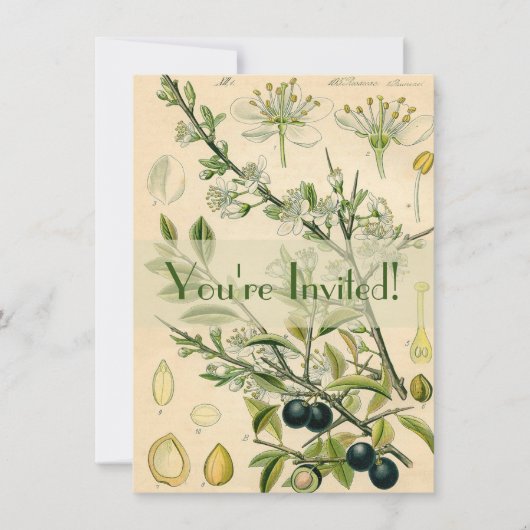 アンティークブラックソーンボタニカルプリントフラワーベリー 招待状 (正面)