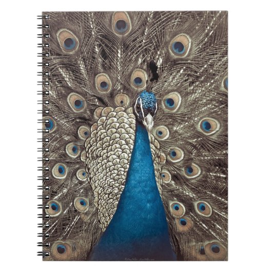 アンティークブルー クジャク ノートブック (正面)