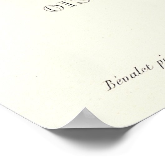 アンティークプリントからロングテイルグリーンウミンバード ポスター (角)