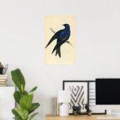 アンティークプリントのパープルマーチン ポスター (ホームオフィス)