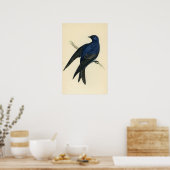 アンティークプリントのパープルマーチン ポスター (キッチン)