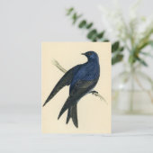 アンティークプリントのパープルマーチン ポストカード (スタンド正面)