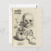 アンティークプリントスカル解剖はがき ポストカード (正面/裏面)