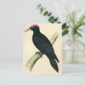 アンティークプリント ポストカード (スタンド正面)