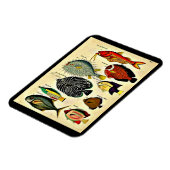 アンティークプリント マグネット (左側)