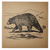 アンティークベアアート図解入りの、写真付きのヴィンテージベア タイル (正面)