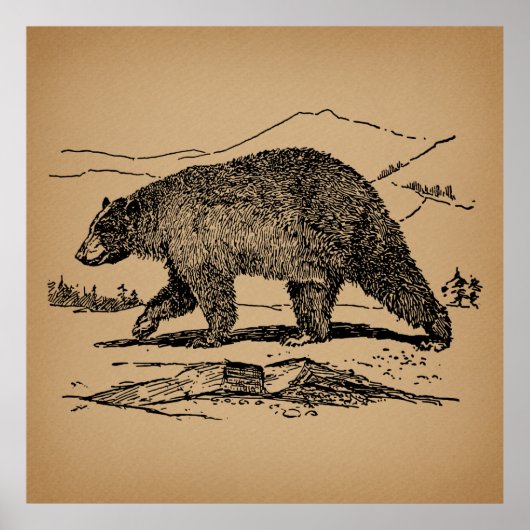 アンティークベアアート図解入りの、写真付きのヴィンテージベア ポスター (正面)