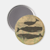 アンティークホエー航海のル海生活 マグネット (正面/裏面)