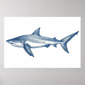 アンティークホワイトシャーク素晴らしスケッチ ポスター (正面)