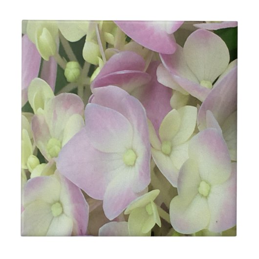 アンティークホワイト&ダスティピンクアジサイ花びら タイル (正面)