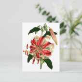 アンティークボタニカルピンクとホワイトリリー ポストカード (スタンド正面)