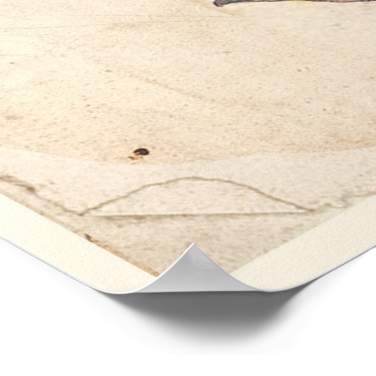 アンティークボタニカルプリントポスターパープルロセファス ポスター (角)