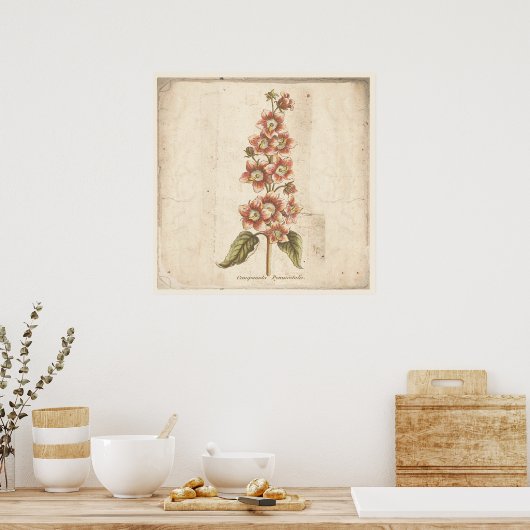 アンティークボタニカルポスターカンパヌラベルフラワー ポスター (キッチン)