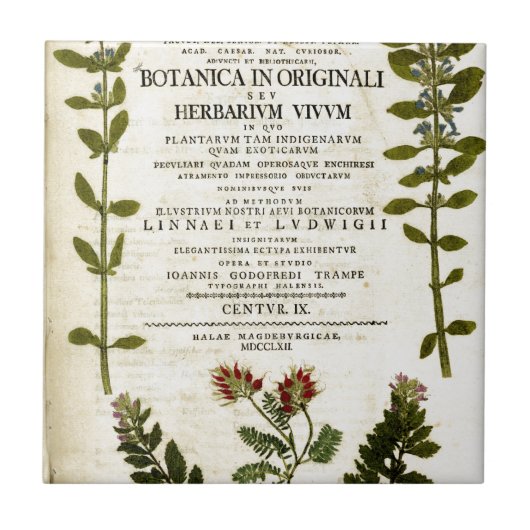 アンティークボタニー蔵書票 タイル (正面)