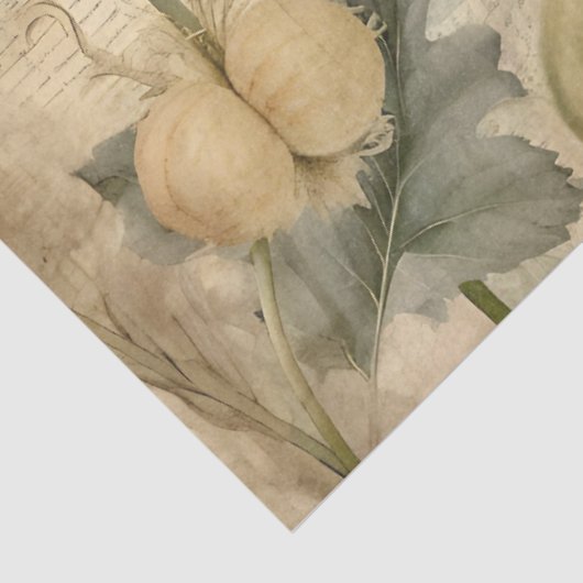 アンティークポピー素朴ズエフエメラデクページ 薄葉紙 (詳細)