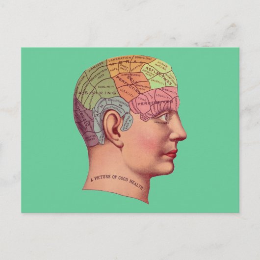 アンティークマインドブレインマップphretechnology head ポストカード (正面)