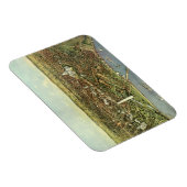 アンティークマップとワシントンDCのパノラマビュー マグネット (右側)