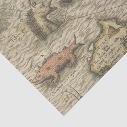 アンティークマップと海の生物の分離 薄葉紙 (詳細)