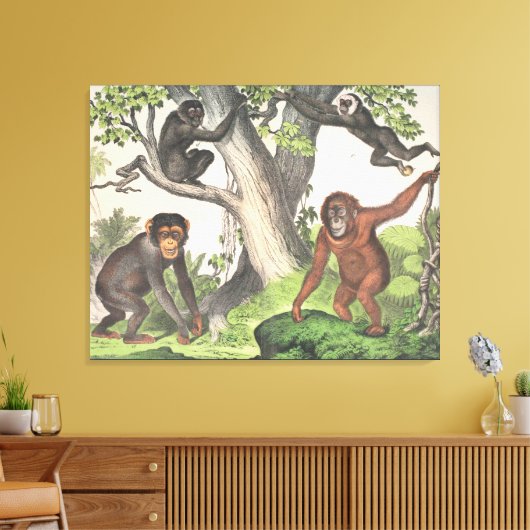 アンティークモンキーインジャングルプリント キャンバスプリント (インサイチュ (リビング))