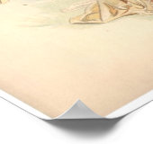 アンティークリトグラフプリントアイリスニンフ ポスター (角)