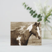 アンティークルッキング絵を描マレ ポストカード (スタンド正面)