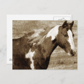 アンティークルッキング絵を描マレ ポストカード (正面/裏面)