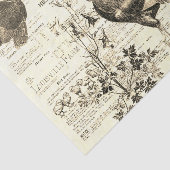 アンティークルースターホーチカルチャーアズエフエメラベージュ 薄葉紙 (詳細)