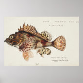 アンティークレッドスコーピオンby F. E. Clarke 1874 ポスター (正面)