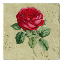 アンティークレッドローズ