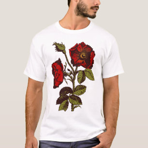 アンティークレッドローズ Tシャツ