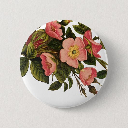 アンティークローズのビンテージ花イラストアート 缶バッジ (正面)