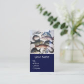 アンティークローマンモザイク、魚、海シーライフシーン 名刺 (スタンド正面)