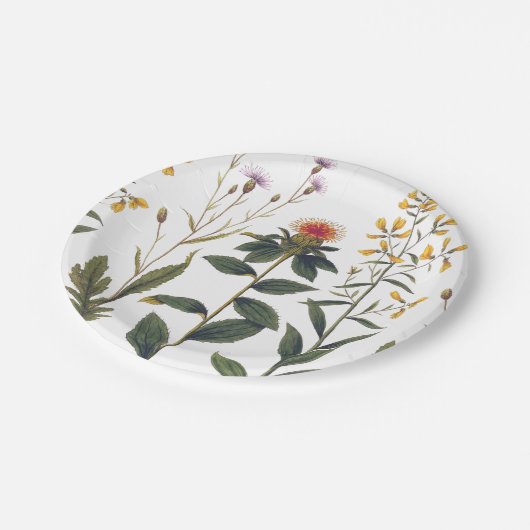 アンティークワイルドフラワーエレガントヴィンテージ自然愛好家 ペーパープレート (アングル)