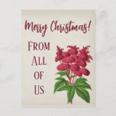 アンティークヴィンテージクリスマスレッドスピレアパルマタカード ポストカード (正面)