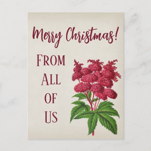 アンティークヴィンテージクリスマスレッドスピレアパルマタカード ポストカード (正面)